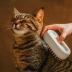 Noua Perie cu Abur pentru Animale