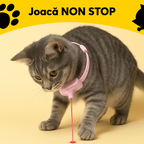 Zgardă cu Laser pentru Pisici 1+1