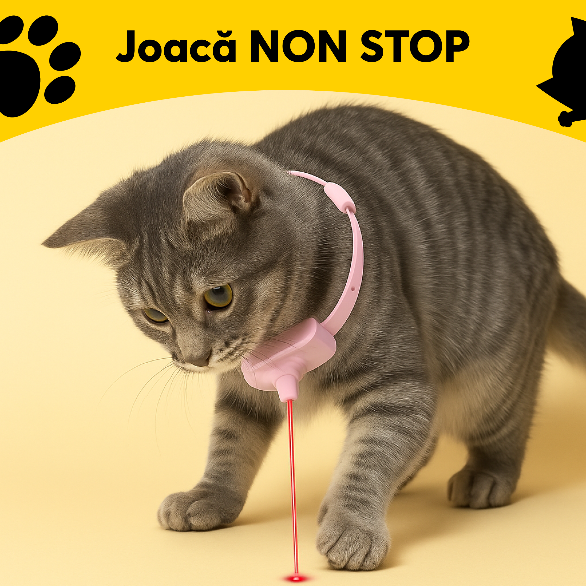 Zgardă cu Laser pentru Pisici 1+1